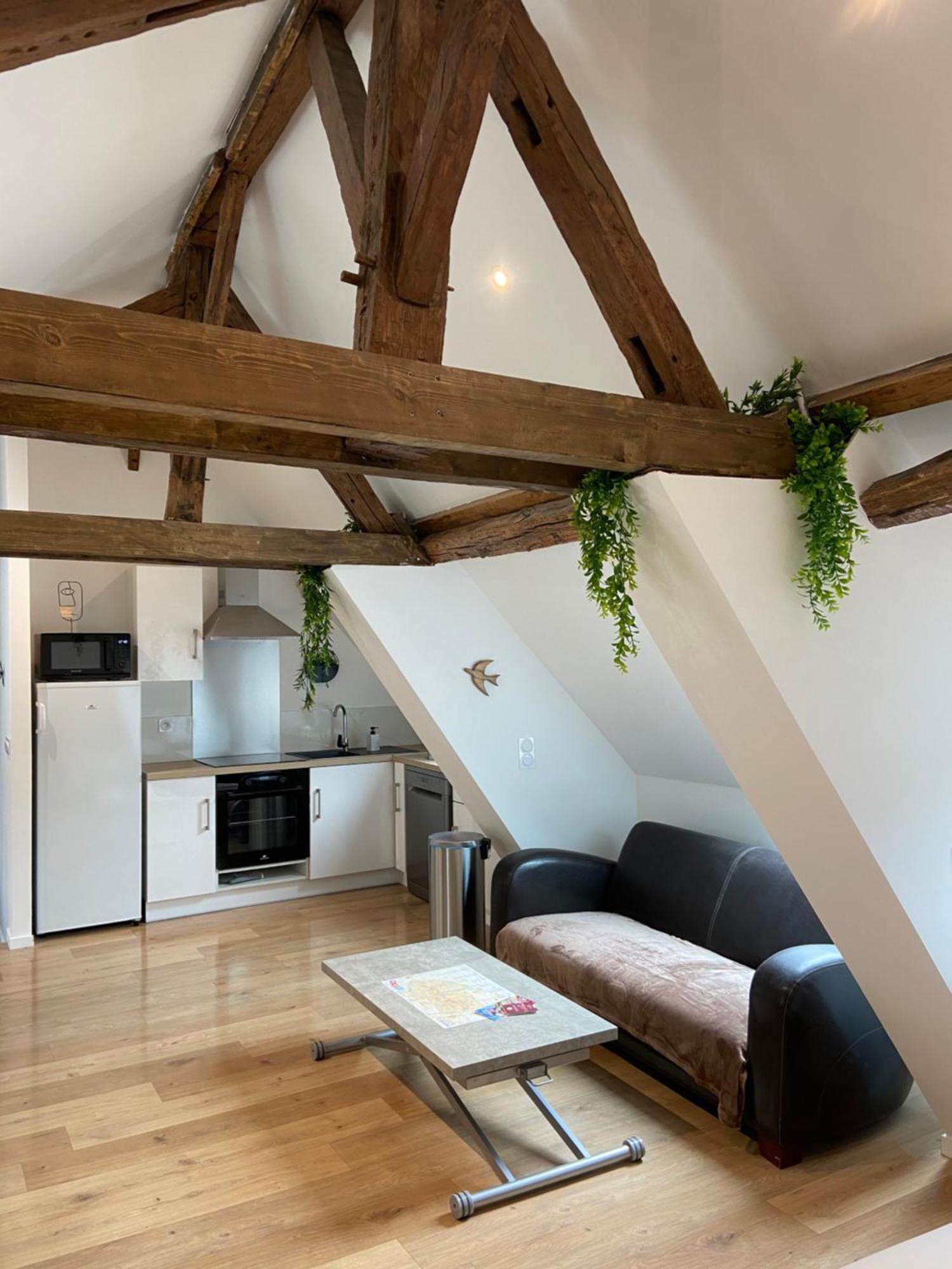 Apartmán La Champenoise La Tannerie Troyes Exteriér fotografie