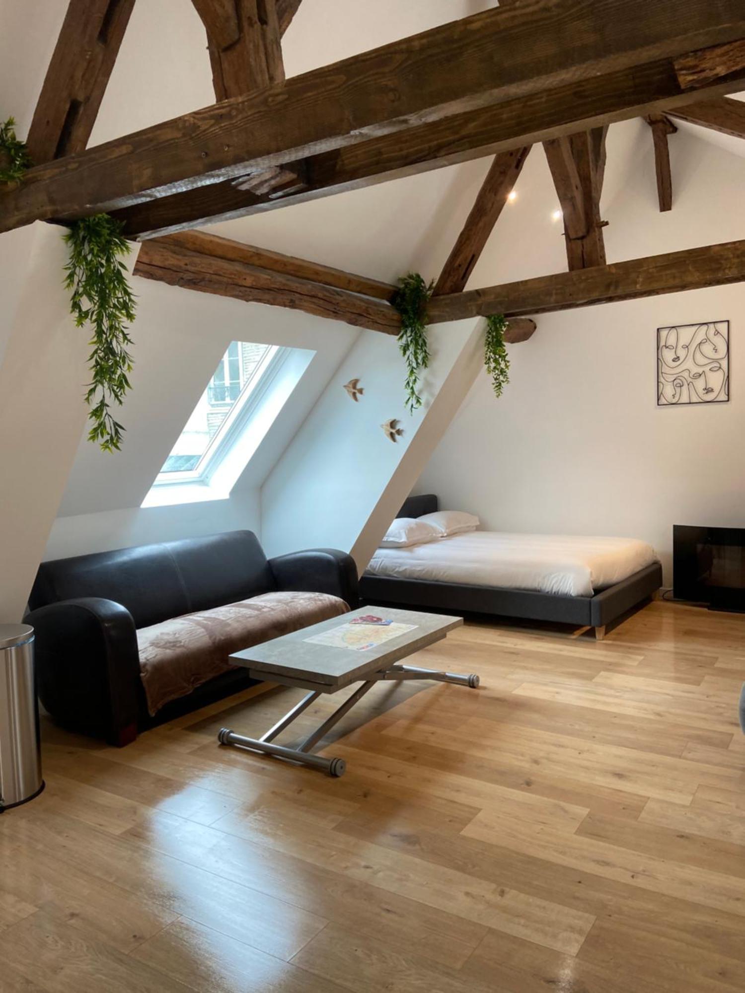 Apartmán La Champenoise La Tannerie Troyes Exteriér fotografie