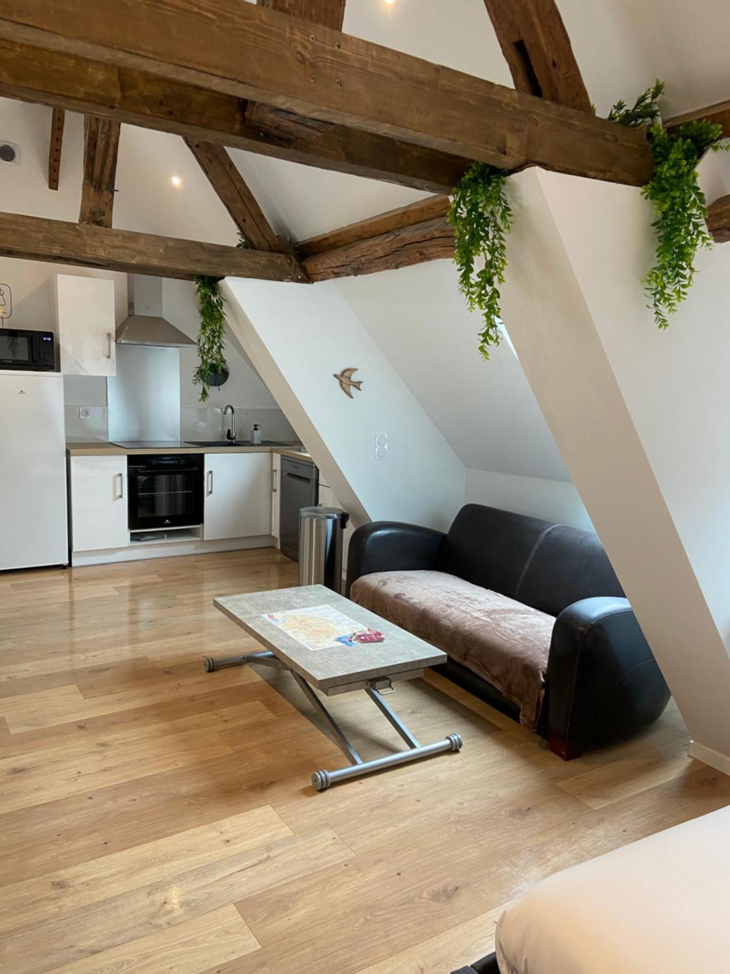 Apartmán La Champenoise La Tannerie Troyes Exteriér fotografie