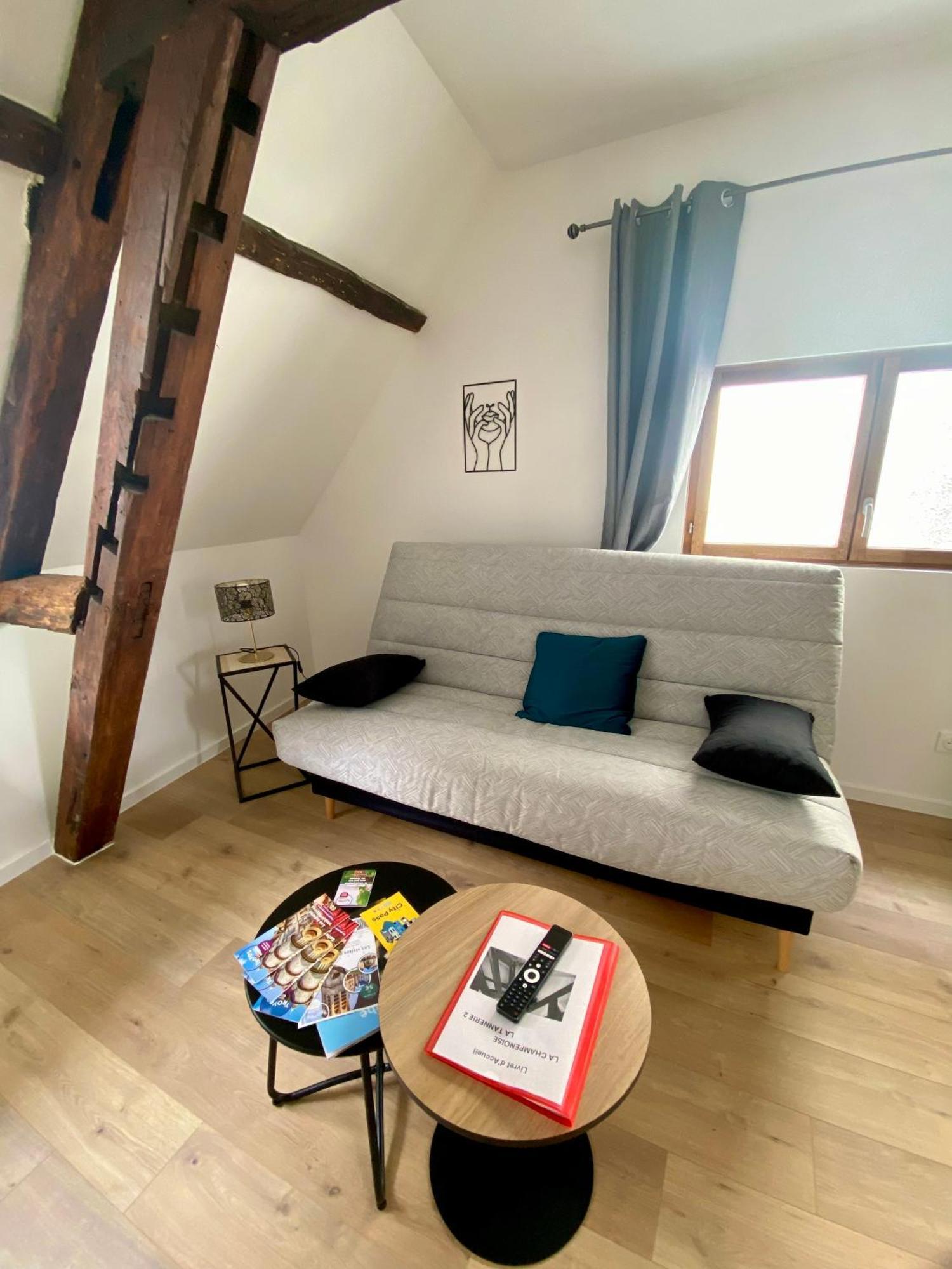 Apartmán La Champenoise La Tannerie Troyes Exteriér fotografie
