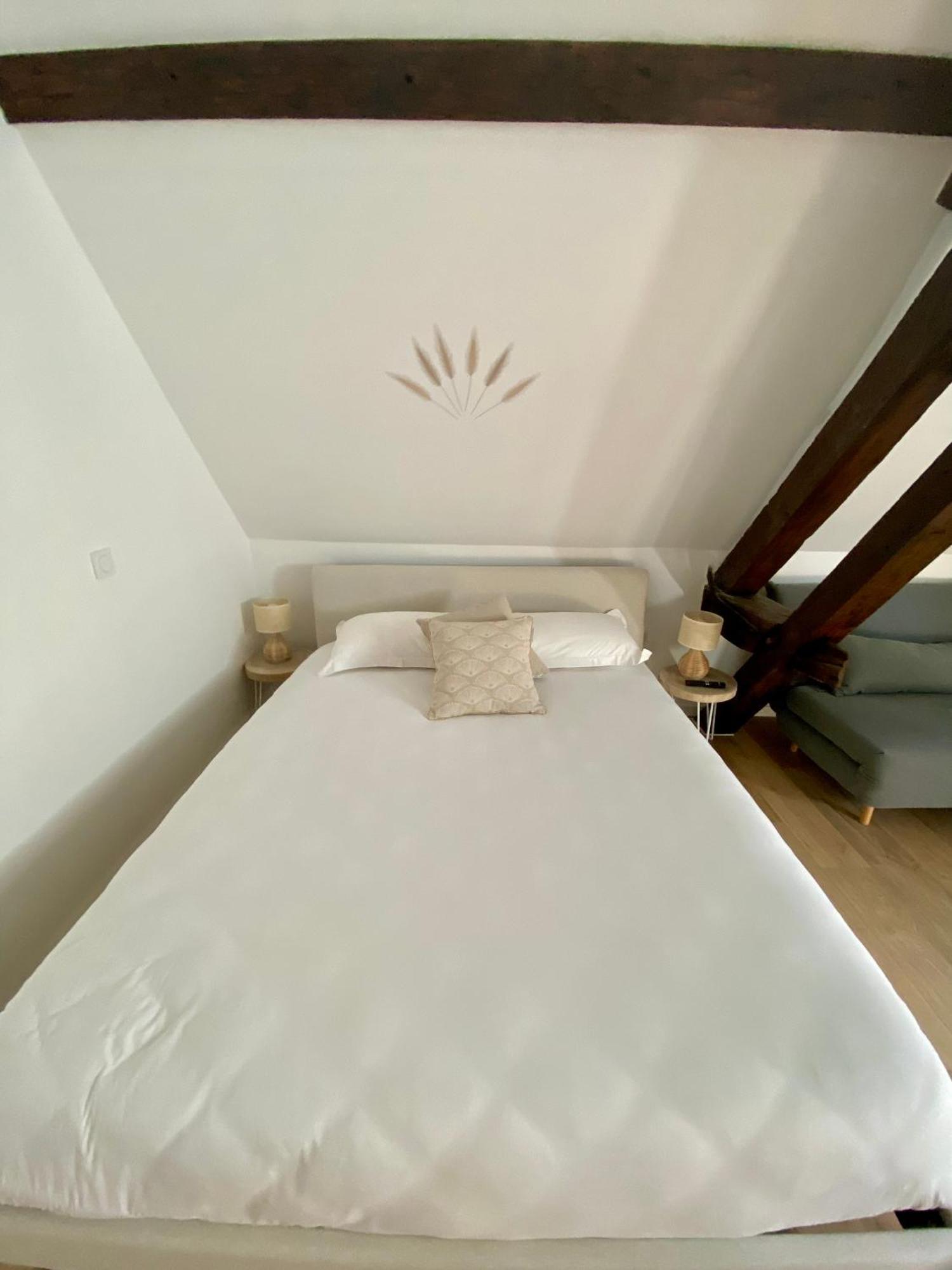 Apartmán La Champenoise La Tannerie Troyes Exteriér fotografie