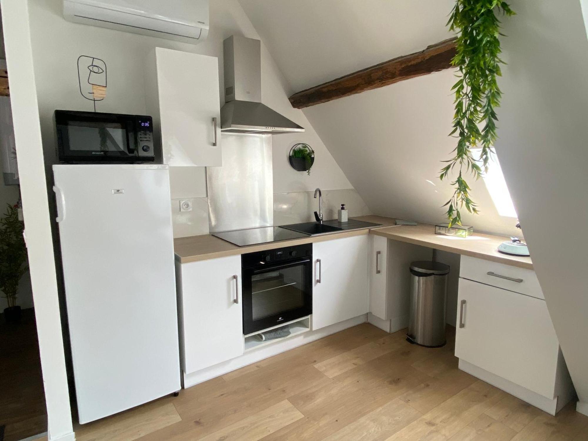 Apartmán La Champenoise La Tannerie Troyes Exteriér fotografie