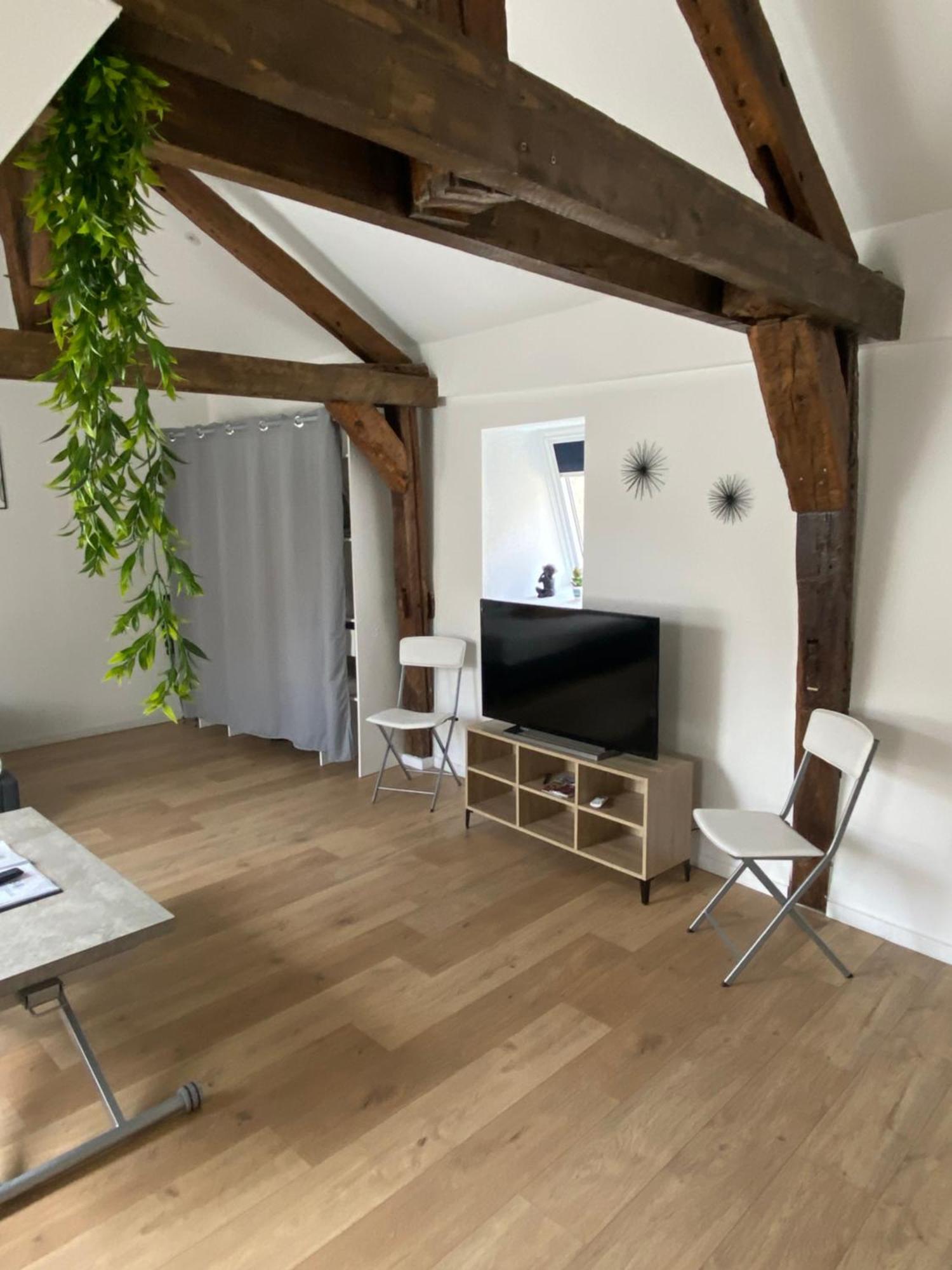 Apartmán La Champenoise La Tannerie Troyes Exteriér fotografie