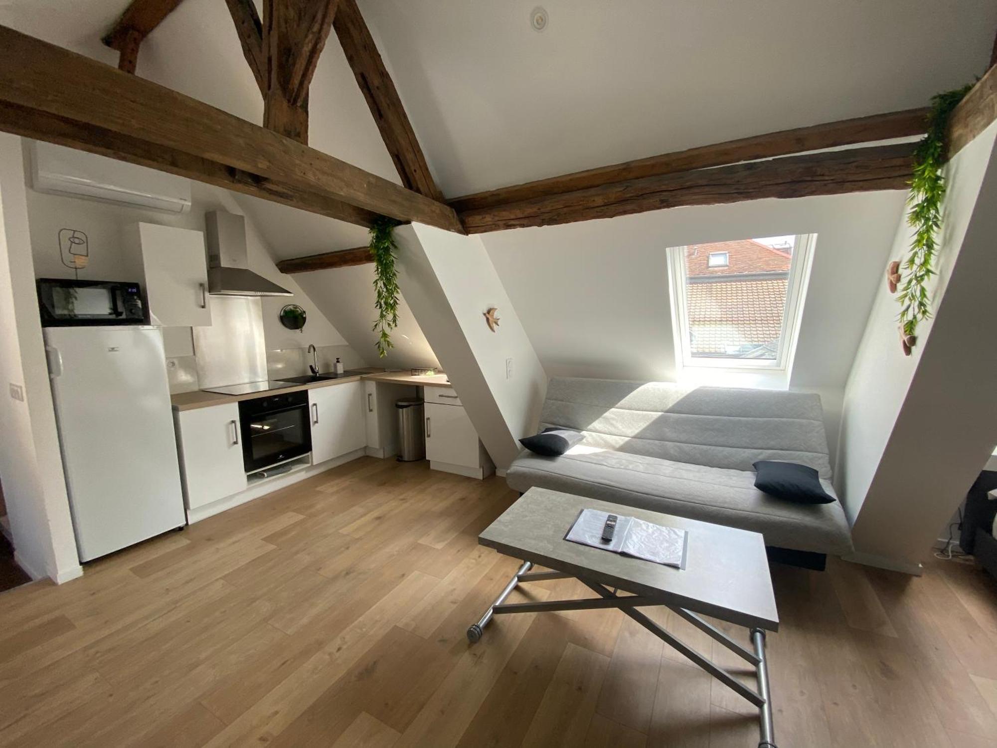 Apartmán La Champenoise La Tannerie Troyes Exteriér fotografie